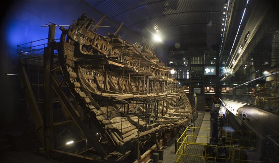 The Mary Rose